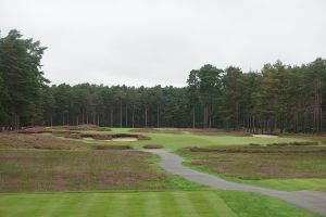 Swinley Forest 14th